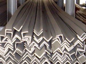 Stainless Steel Angle