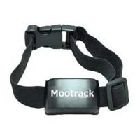 pet gps tracker