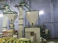 cattle feed plants