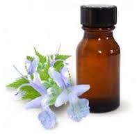 Patchouli oil natural