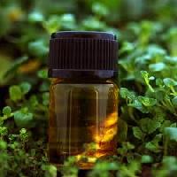 Peppermint Oil