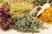 herbs raw materials