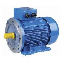 Single Phase Electric Motor