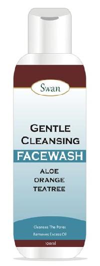 Gentle Cleansing Face Wash