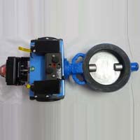 Butterfly Valve