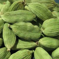 Green Cardamom