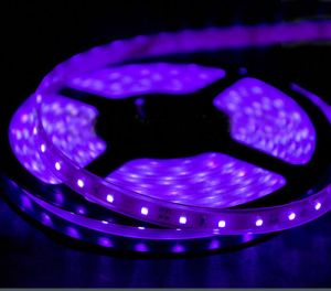 Led Strips 3528 Purple Reolite