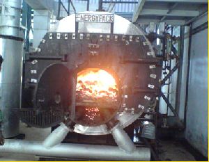 Coal fired steam boiler