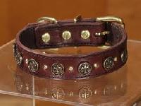 Dog Collars