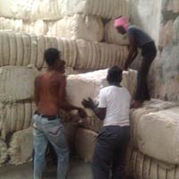 Fp Cotton Bales