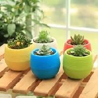 Garden Pot