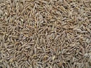 Cumin Seeds