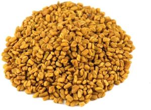 Fenugreek Seed