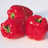 Fresh Red Capsicum