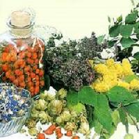 herbals raw materials