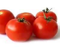 Fresh Tomato