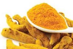 Turmeric Extract