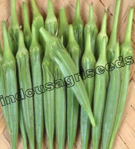 Hybrid Okra Seeds