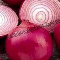 Royal Red Onion