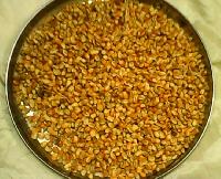 Yellow Maize for Animal Feed