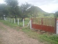 Boundary Pillar Wire Fencing
