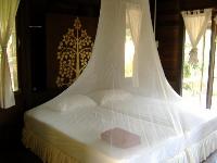 Mosquito Bed Net