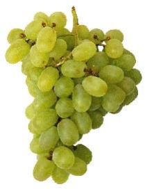 Fresh Green Grapes