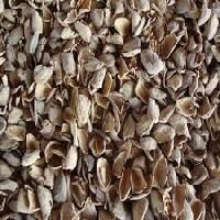 Groundnut Shell