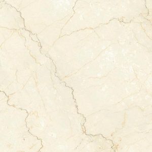 Vitrified Tiles