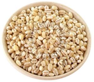 Barley Seeds