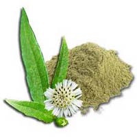 Bhringraj Powder ( False Daisy / Eclipta Alba )