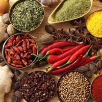 Indian spices