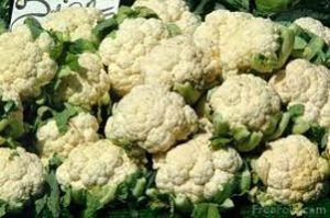 Fresh Cauliflower