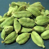 Cardamom