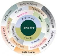 tally integration software