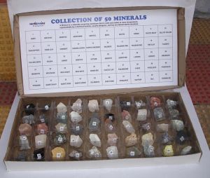 Collection of 50 Minerals Plastic Tray Box