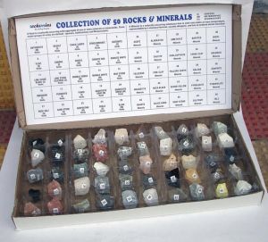 Rocks & Minerals Plastic Tray Box