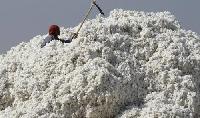 Ginned Cotton