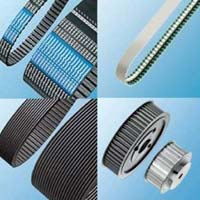 Timing Belts & Conveyor Belts