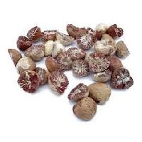 Areca Nuts