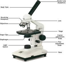 Microscope