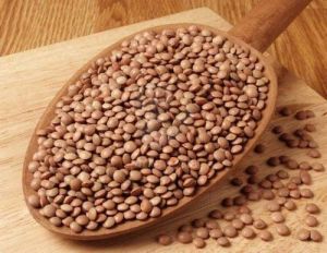 Brown Lentils