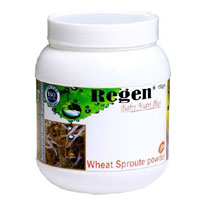 Wheat Sprout Powder