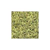 Fennel Seeds