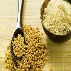 Fenugreek Powder