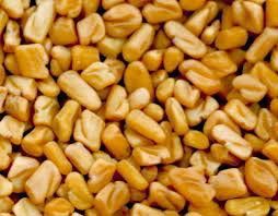 Fenugreek Seed