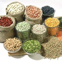 Indian Pulses