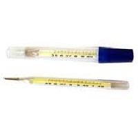 prismatic clinical thermometer