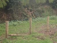 Barbed Wire Fencing