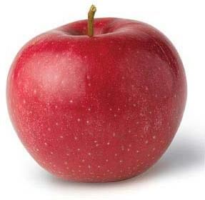 Fresh Apple